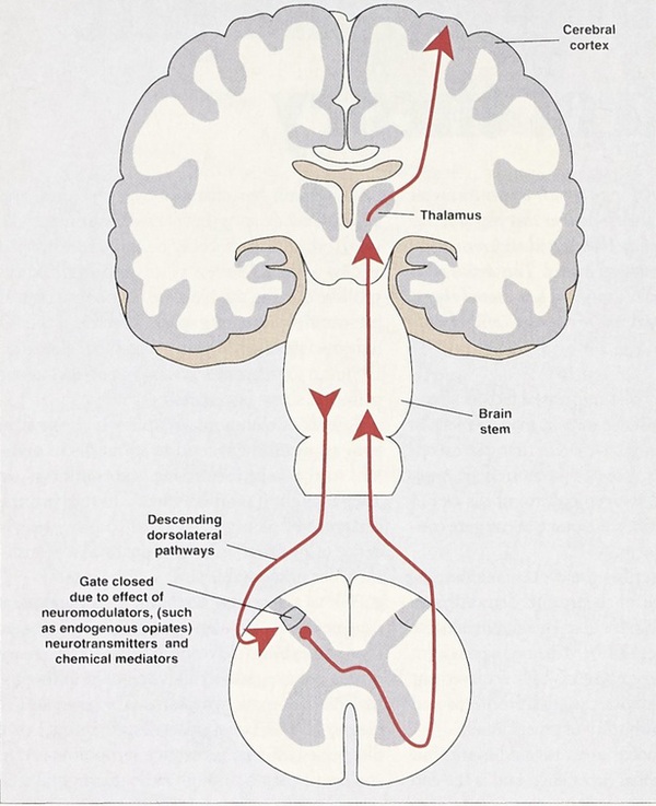 Sơ đồ hiệu ứng Cổng Kiểm Soát